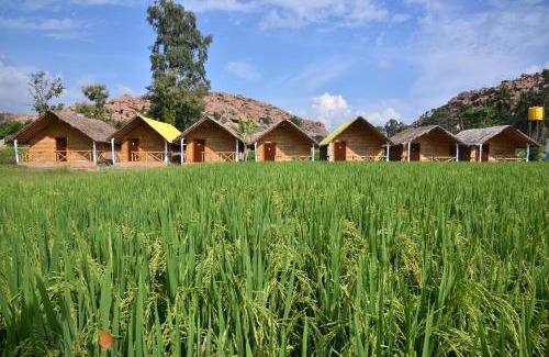 Kamalapur House | Affordable Family Stay at Dream Mango Hampi with Pets Welcome