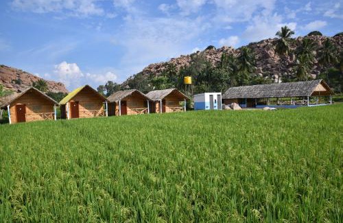Kamalapur House | Affordable Family Stay at Dream Mango Hampi with Pets Welcome
