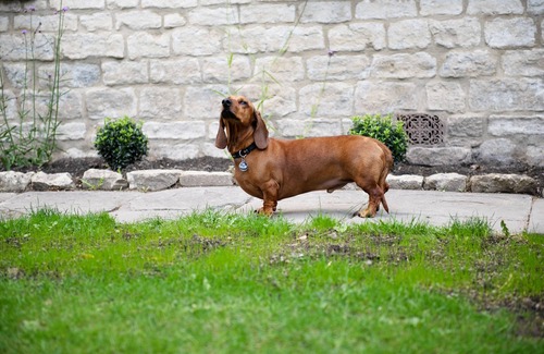 Bath House | Top-Rated Dream Stays Bath with Breakfast & Kitchen Access