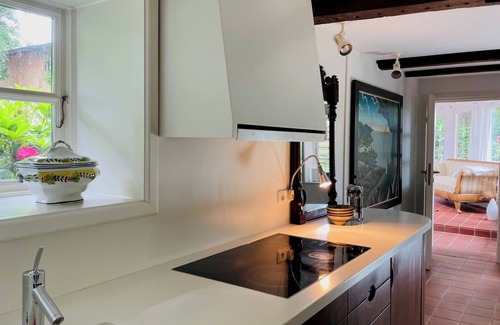Brarupholz House | Dream vacation in a stylish thatched-roof house in a rural setting