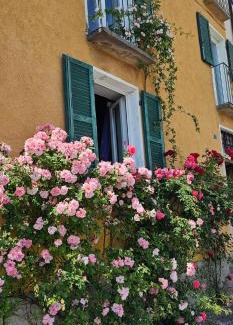 Brissago Apartment | Idyllic Lake Retreat: Guest Rated 10/10 for Unforgettable Stays