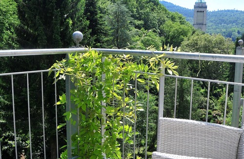 Baden-Baden Apartment | Serene Escape with Balcony & Nature Access, Pet Friendly