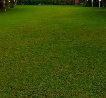 Sanand Villa | Tranquil Dreamland Villas: Pet & Child-Friendly Retreat