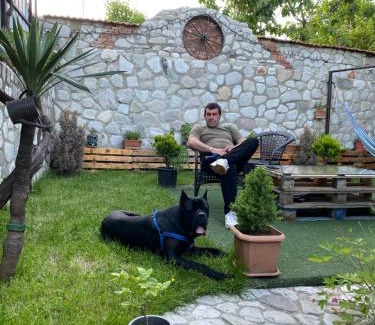 Telavi House | Exceptional Dreamland Guest House with Pool and Kitchen