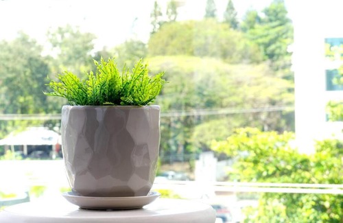 Santiago Province Apartment | Discover Dreams Room Soha II: Pet-Friendly & Family Fun