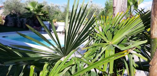 La Spezia House | Dreams Guest House: Pet-Friendly Oasis with Oceanfront Views