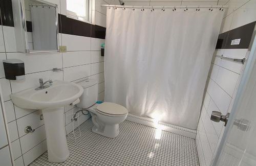 Rio Piedras Hotel | Pet-Friendly Getaway at Dreams Hotel Puerto Rico