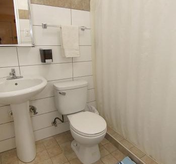 Rio Piedras Hotel | Pet-Friendly Getaway at Dreams Hotel Puerto Rico