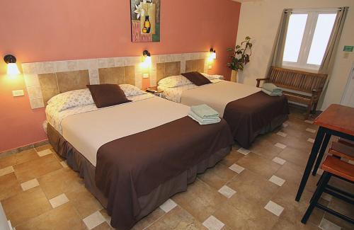 Rio Piedras Hotel | Pet-Friendly Getaway at Dreams Hotel Puerto Rico