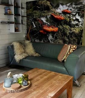 Laag-Soeren House | Experience Dreamwoodz: A Cozy Chalet on the Veluwe