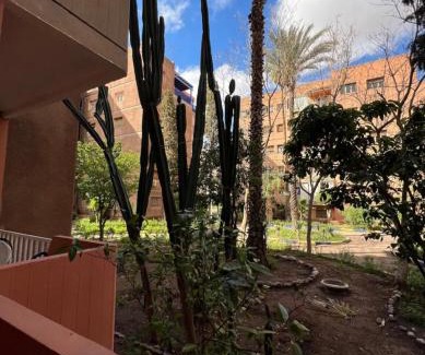 Majorelle Apartment | Dreamy Majorelle