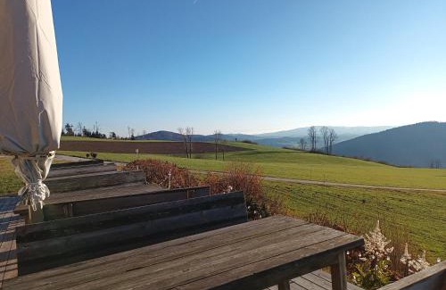 Hauzenberg Apartment | Relax at Dreiländereck with Sauna, Pool & Ocean Views