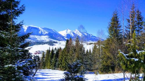Bachledova dolina Ski Chalet | Pet-Friendly Retreat at Drevenica Goralský Dvor