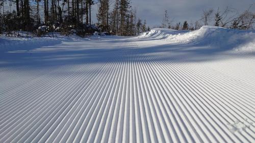 Bachledova dolina Ski Chalet | Pet-Friendly Retreat at Drevenica Goralský Dvor