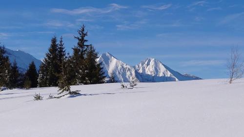 Bachledova dolina Ski Chalet | Pet-Friendly Retreat at Drevenica Goralský Dvor