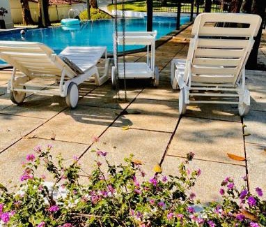 Tariyod Villa | Discover Drey at Druv Dakshin Farm Resort: Pet-Friendly Getaway