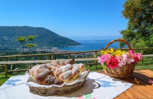 Torraca Bed & Breakfast | Unforgettable Stay at Driùs edodè - Family-Friendly B&B