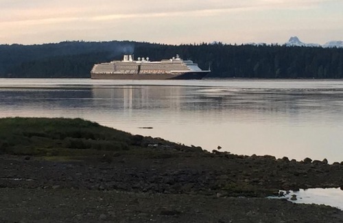 Campbell River Hotel | Oceanfront Driftwood by the Sea Inn - Guest Rated 9.2/10