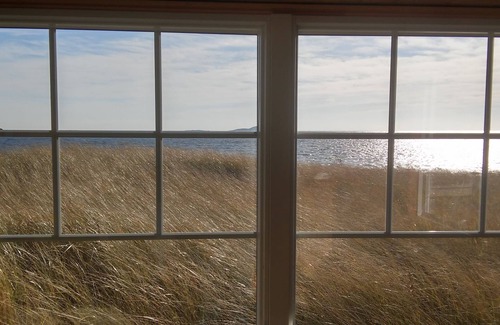 Phippsburg Apartment | Beachfront Driftwood Studio: Pet-Friendly Oasis Awaits