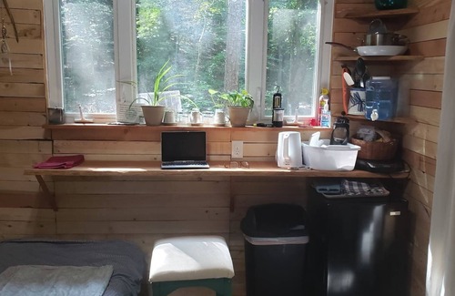 Ozone Cabin | Tranquil Treehouse Cabin: Pet-Friendly Retreat with AC