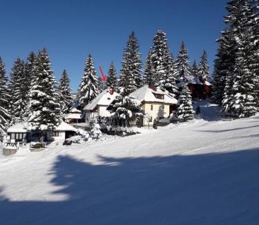 Babanovac Cabin | Discover Druga priča: Family-Friendly with Top Reviews