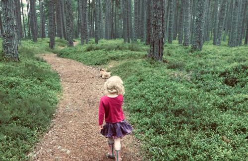 Kingussie House | Drumguish Cottage: Family and Pet-Friendly Retreat