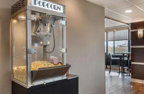 Champaign Hotel | Pet-Friendly Oasis at Drury Inn & Suites Champaign