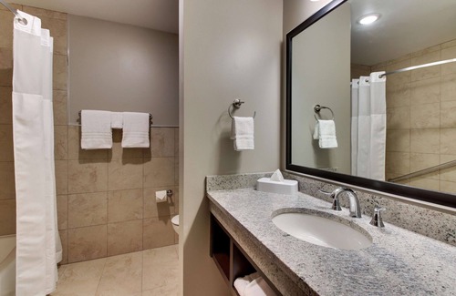 Richardson Hotel | Top-Rated Drury Plaza Hotel Dallas Richardson with Great Amenities
