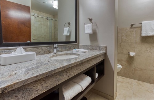 Richardson Hotel | Top-Rated Drury Plaza Hotel Dallas Richardson with Great Amenities