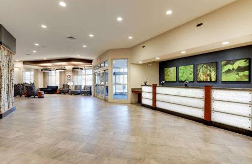 West Central Westminster Hotel | Pet-Friendly Retreat at Drury Plaza Hotel Denver Westminster