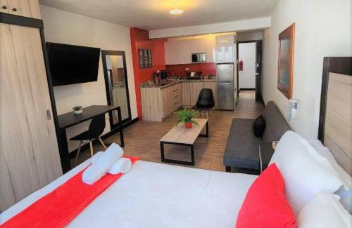 Zona 15 Apartment | DSt4 Well stocked studio in zone 15