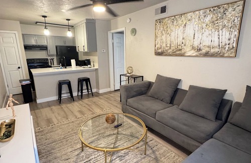 Park Central Apartment | DT Dallas Retro OASIS 1BED/1BATH