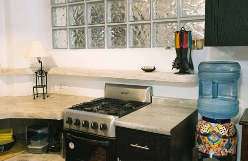 Emiliano Zapata Apartment | Pet-Friendly Apartment in Romantic Zone with Sunny Patio