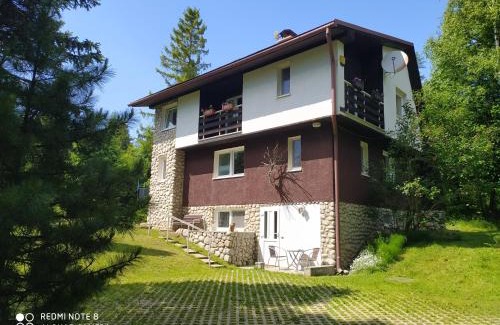 Stola Apartment | Pet-Friendly Dušan: Exceptional Stay Rated 9/10