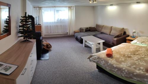 Stola Apartment | Pet-Friendly Dušan: Exceptional Stay Rated 9/10