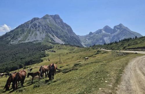 Montenegro Ski Chalet | Dušanov Konak
