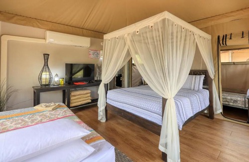 Dubbo Other | Discover Dubbo Rhino Lodge: Pool, Breakfast & Family-Friendly