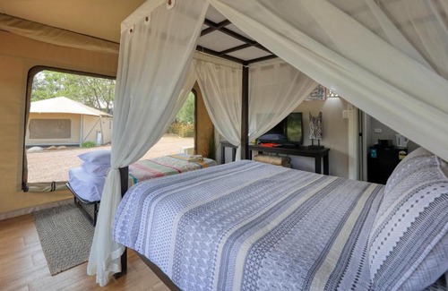 Dubbo Other | Discover Dubbo Rhino Lodge: Pool, Breakfast & Family-Friendly