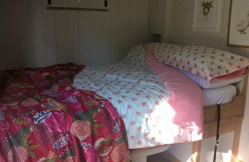 Dundon House | Welcoming Duck Hut - Family & Pet Friendly Escape