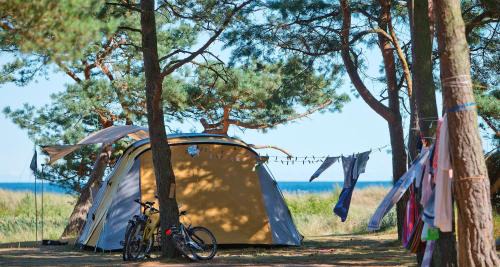 Dueodde Other | Pet-Friendly Getaway at Dueodde Strand Camping with Pool