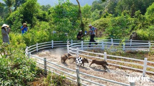 Ham Ninh Hotel | DUGONG BAY hàm ninh phú quốc