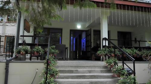 Radruz Hotel | Pet Friendly DUKAT: Family & Accessible Stay Awaits