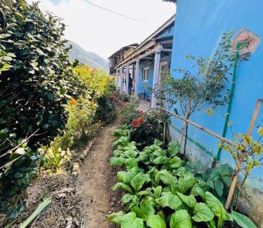 Madhyapur Thimi House | Top-Rated Dulal’s Homestay: Family & Pet Friendly Retreat