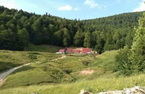 Kolasin Municipality Cabin | Pet-Friendly Retreat at Dulović - KATUN POTOCI, Rated 10/10