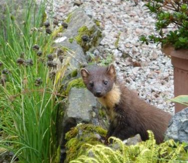 Lochgilphead Bed & Breakfast | Elegant Dunchraigaig House: Guest Rated 9.5 with Breakfast