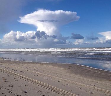 Schiermonnikoog House | Discover Dune Bep: Guest Rated 8.3/10 Excellence