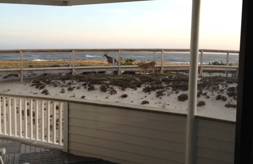 Westhampton Beach Condo | Oceanfront Serenity at Dune Road Westhampton - 10/10 Rated