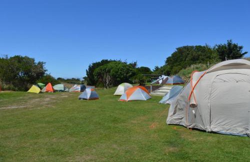 Saint Kilda Resort | Relaxing Dunedin Holiday Park: Family & Pet-Friendly Retreat