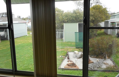 Dunedoo Cabin | Relaxing Escape at Dunedoo - Caddy Shack with Pool & Kitchen