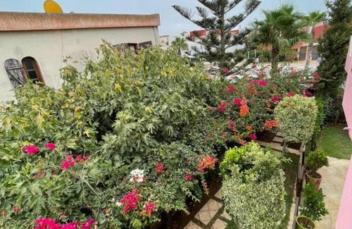Moulay Abdallah House | Duplex A Sidi Bouzid: Pet and Child-Friendly Retreat